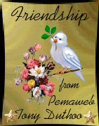 Friendship award from Pemaweb Award (opens in new window)