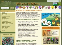 Content Site of the Year 2007: Celebrating Wildflowers (opens in new window)