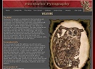 Firestarter Pyrography (link opens in new window)