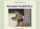 Penmarric Cornish Rex (site closed)